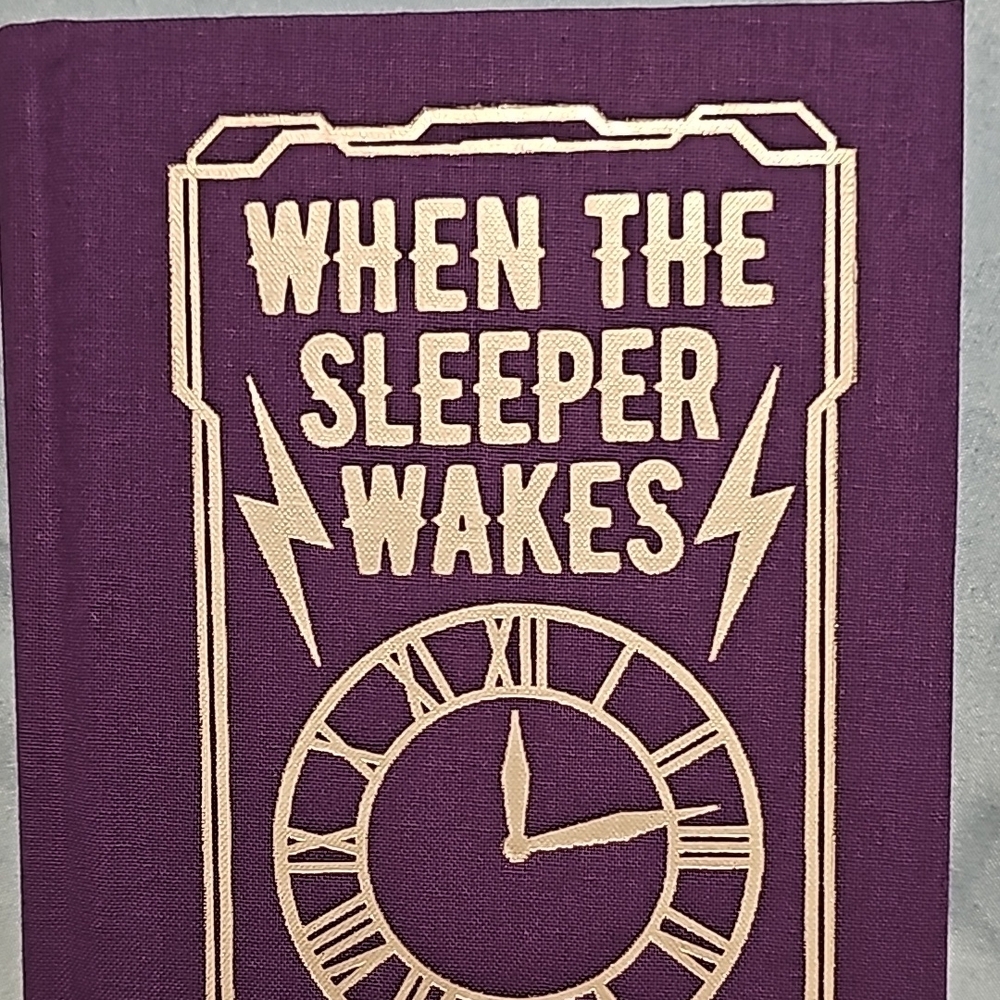 Purple Decorative Book Cover - When the Sleeper Wakes
